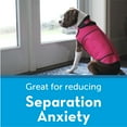 Sport Dog Anxiety Jacket, Vet Calming Solution Vest for Fireworks, Thunder, Travel