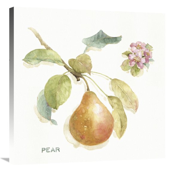 Global Gallery's 'Orchard Bloom II' By Lisa Audit Stretched Canvas Wall Art