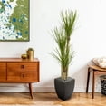 thumbnail image 4 of Nearly Natural 63" Yucca Artificial Tree in Black Planter, Green, 4 of 4