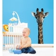 thumbnail image 2 of Boer Giraffe Wall Decal Cutout, 2 of 2