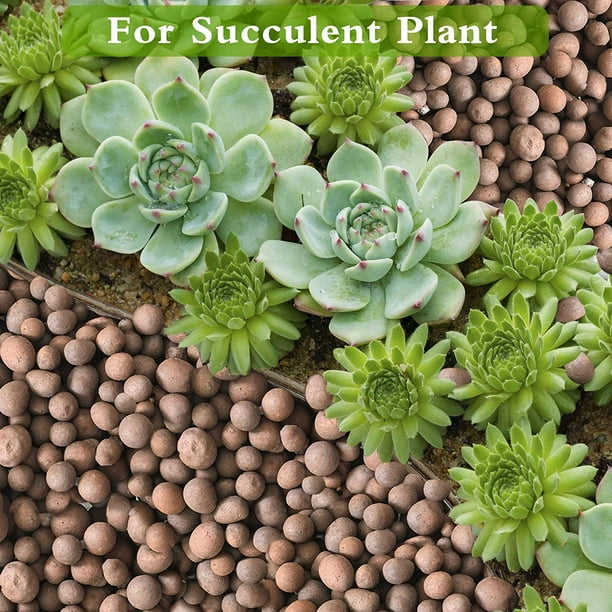 ZeeDix 4lb Leca Clay Pebbles Decorative Organic Seedling Plants