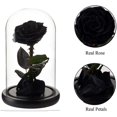 thumbnail image 3 of Rosa eterna real conservada en cúpula de cristal, regalo para ella, Acción de Gracias, Navidad, Día de San Valentín, cumpleaños, Día de la Madre (negro), 3 of 4