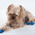 thumbnail image 3 of Calcetines para perros Calcetines antideslizantes para mascotas con refuerzo de goma Calcetines de punto para perros con suelas de tracción Protector de pata de perro para uso en interiores, 4PCS MFZFUKR 220515-3, 3 of 8