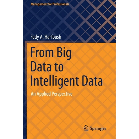 Management for Professionals From Big Data to Intelligent Data: An Applied Perspective, (Paperback)