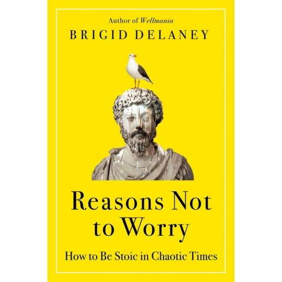 Reasons Not to Worry: How to Be Stoic in Chaotic Times (Paperback)