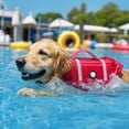 thumbnail image 6 of Dog Life Jacket, Puppy Life Jackets for Small Dogs, Small Doggie Life Vest for Swimming, Lightweight Extra Small Dog Swim Vest with Handle, Puppy Life Vest for Boating, Cat Lifevest Red, XS, 6 of 6