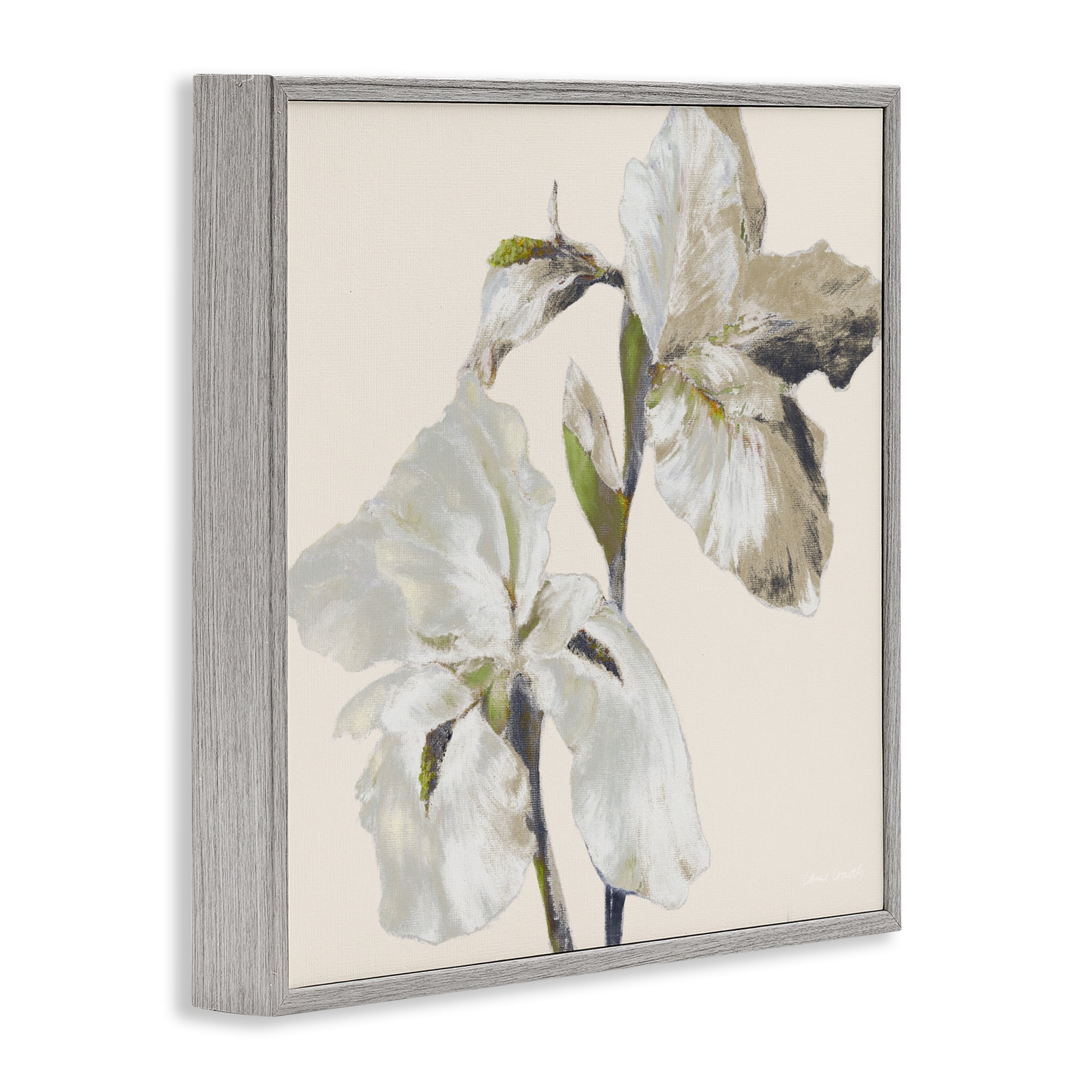 Stupell Industries Irises Soft Beige Gray Framed Giclee Art, design by Lanie Loreth