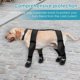 thumbnail image 3 of Calzado con tirantes para mascotas, botines para perros con tirantes |Botas antideslizantes de apoyo para perros, calzado ajustable anticaída para perros, ,M, 3 of 9