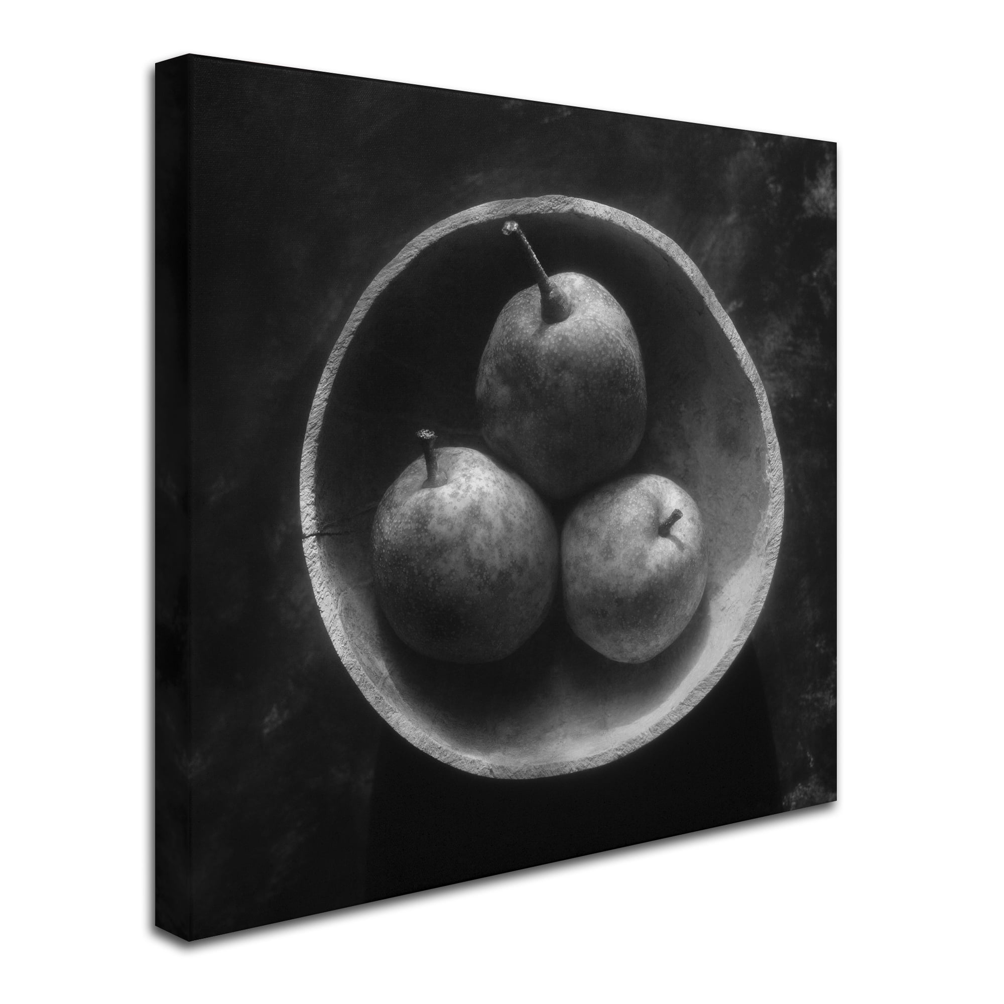 Trademark Fine Art "Circulo de Peras" Canvas Art by Moises Levy
