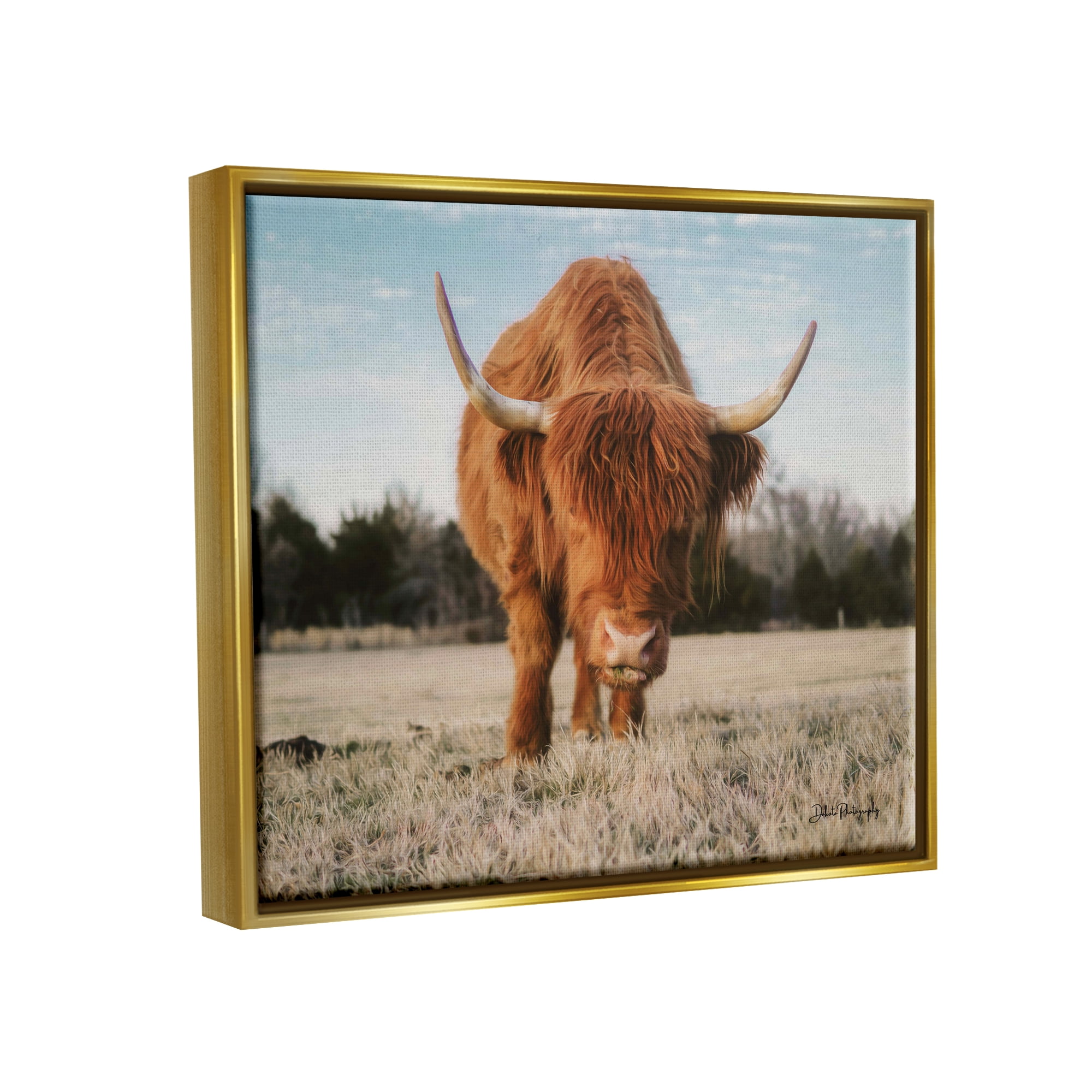 Stupell Farmhouse Highland Cattle Ranch Animals & Insects Photography Gold Floater Framed Art Print Wall Art
