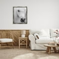 thumbnail image 2 of Elegant White Horse Stallion Animals & Insects Photograph Luster Gray Framed Art Print Wall Art, 2 of 6