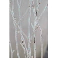 thumbnail image 4 of Natural Beech Branches Sparkled White (9 Branches), 4 of 4
