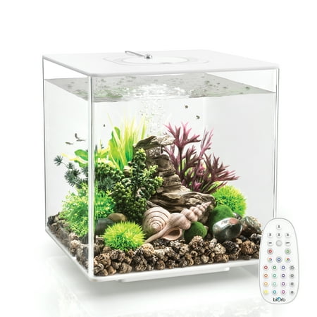 UPC: 0822728720226 | biOrb CUBE 30 Aquarium with MCR Light – 8 gallon  white