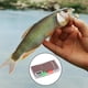 thumbnail image 3 of Juego de moscas atadas, cebo artificial para pesca de trucha con cucharillas y lanzador A, 3 of 9