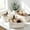 A, variant on 3Pack Beautiful Storage Basket, Sturdy Jute Rope Baskets for Shelves Are Perfect for Organizing Your Home - Quality Storage Bins Easily Fit With Any Nursery or Bedroom Decor(A)
