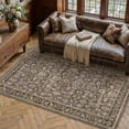 thumbnail image 3 of BERTHMEER Small Area Rugs 3'x5' for Bedroom Bathroom Entryway Kitchen Laundry Rugs Non Slip Washable Vintage Brown Carpets Oriental Dorm Office Entrance Traditional Distressed Throw Rugs, 3 of 6