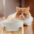 thumbnail image 5 of Ceramic Dog Cat Bowl with Wood Stand,Cat Food & Water Bowls Elevated Non-Spill Modern Cute Cat Dish Heavy Weighted Round Pet Dishes Set for Kitten Small Cat - yellow, 5 of 5
