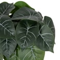 thumbnail image 4 of DesignOvation 7"H Artificial Variegated Leaf Plant in Two-tone Ceramic Pot, 4 of 8