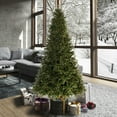 thumbnail image 5 of Vickerman K224195 14 ft. x 106 in. Douglas Fir 10169T Christmas Tree, 5 of 11