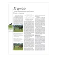 thumbnail image 4 of Libro Enciclopedia Definitiva Del Caballo Lexus Enciclopedia Definitiva, 4 of 4