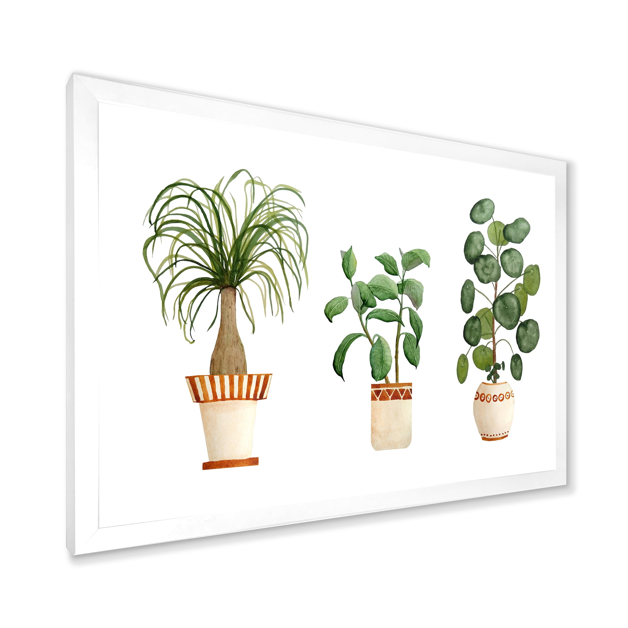 Designart 'Trio of House Plants Ficus Ponytail and Palm' Traditional Framed Art Print