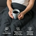 thumbnail image 4 of Sunbeam Electric Heated Blanket Velvet Texture 12 Heat Settings Auto Shut-Off Slate Twin 62 x 84, 4 of 6