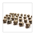 thumbnail image 1 of 20Pcs Simulation Skull Model Toys Modern Mini Skull DIY Halloween Decoration Funny Model Toys Collection, 1 of 5