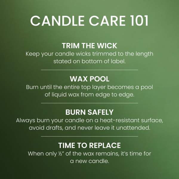 Yankee Candle Small Tumbler Scented Single Wick Jar Candle, Balsam Cedar, 4.3 oz (Pack of 2)