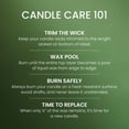 thumbnail image 6 of Yankee Candle Small Tumbler Scented Single Wick Jar Candle, Balsam Cedar, 4.3 oz (Pack of 2), 6 of 8