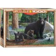 thumbnail image 1 of Eurographics - New Discoveries by Kevin Daniel, 1000 PC Puzzle, 1 of 2