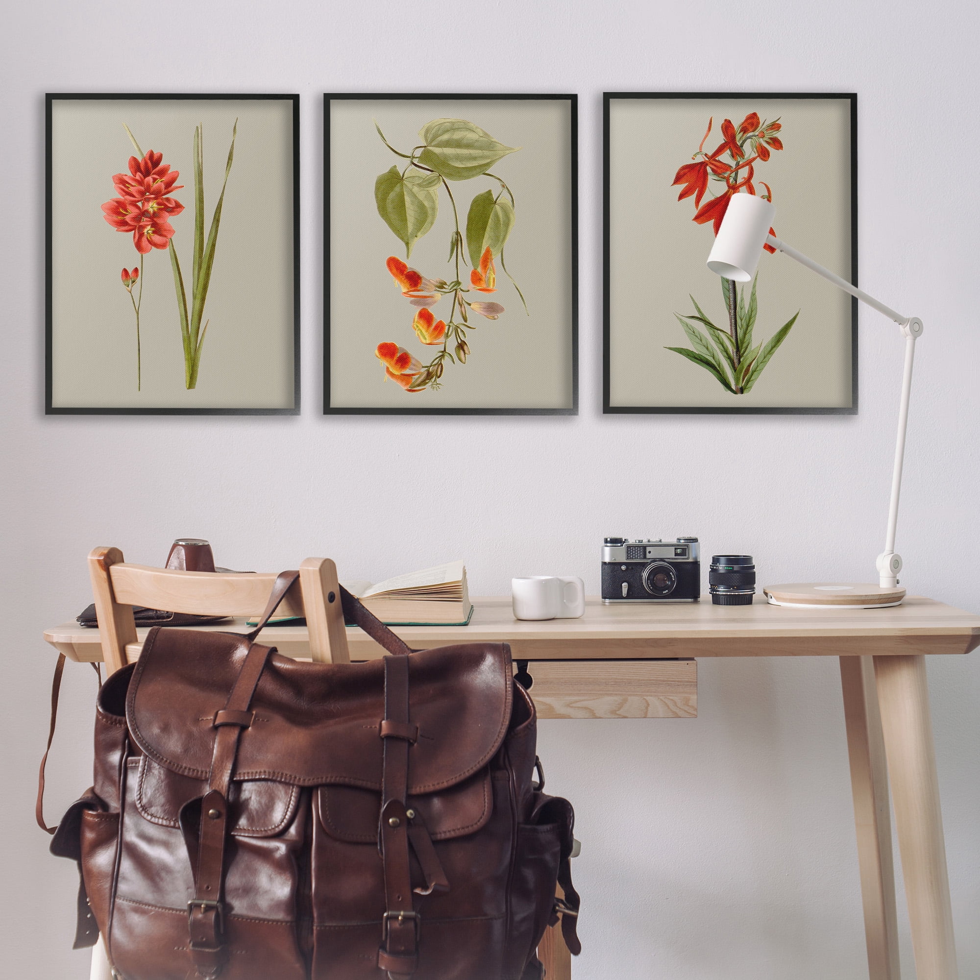 Stupell Industries Woodland Flower Study Botanical & Floral Painting Black Framed Art Print Wall Art, 24 x 30, Set of 3