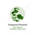 thumbnail image 4 of Jabón para manos Santuarie Essence Eucaliptus 500ml, 4 of 4