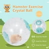 Hamster Exercise Ball Hamster Crystal Ball 5.5 Inch Clear Hamster Running Ball