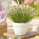 thumbnail image 4 of Ramo artificial de lavanda, gypsophila y eucalipto - Arreglo floral artificial realista de 42 cm para decoración del hogar - Centro de mesa floral artificial sin mantenimiento para sala de estar, 4 of 6