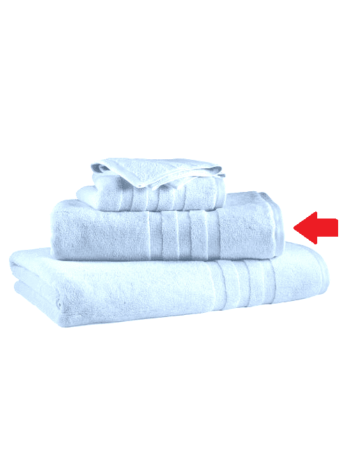 ralph lauren palmer towels