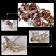 thumbnail image 4 of Alligator Hair Clips for Styling, Hair Claw Clips for Thick Long Hair, Styling Hair Clips with Rhinestone Flower Butterfly, Hair Barrettes for Women F, 4 of 4