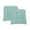 Aqua, variant on Perfect Performance Tyler Set of 2 Chair Cushions Bamboo