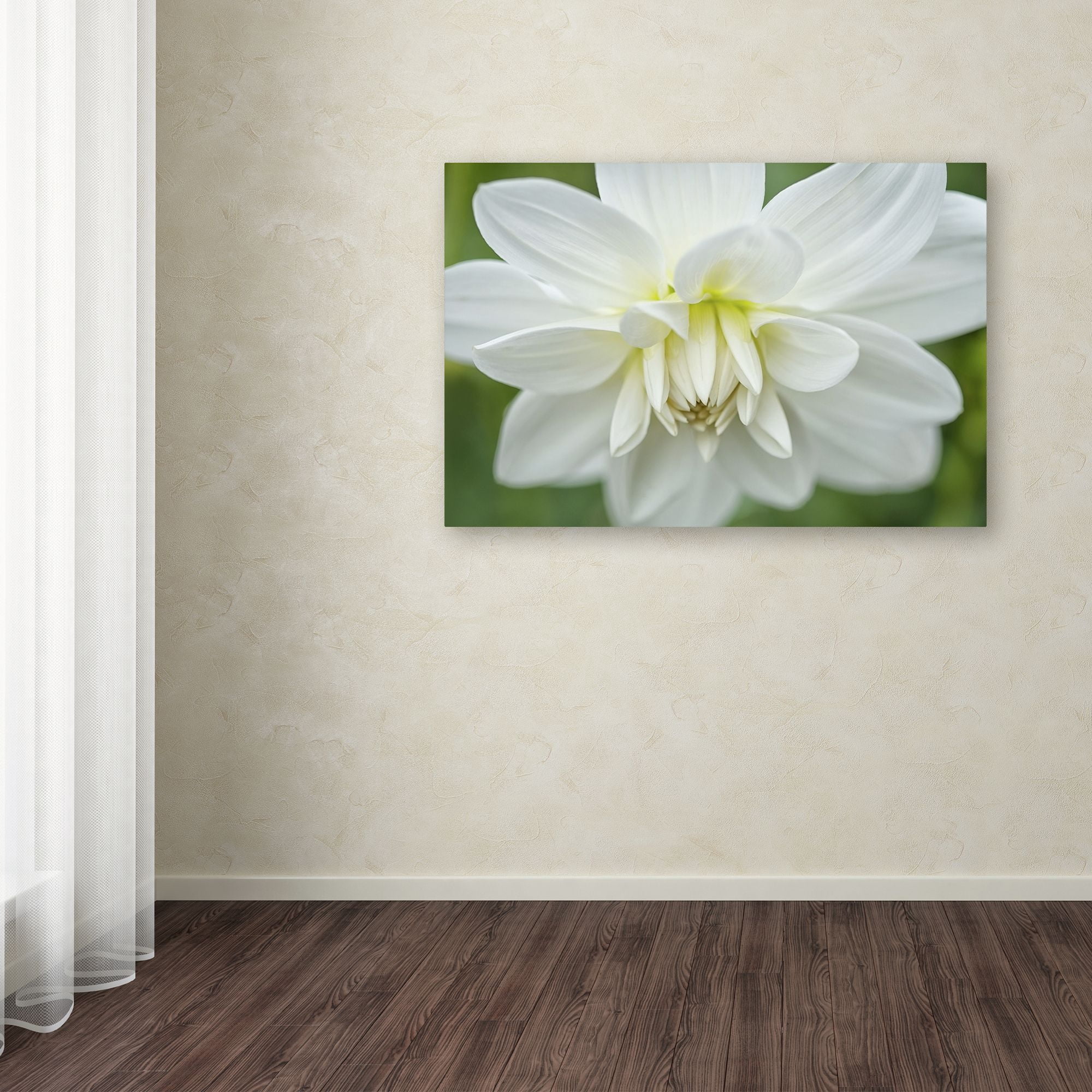Trademark Fine Art 'White Dahlia' Canvas Art by Cora Niele