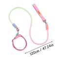 thumbnail image 3 of Dog Collar and Leash Set | Blue Dog Collar | Durable Nylon for All Size Dogs Everyday Walks, 3 of 6