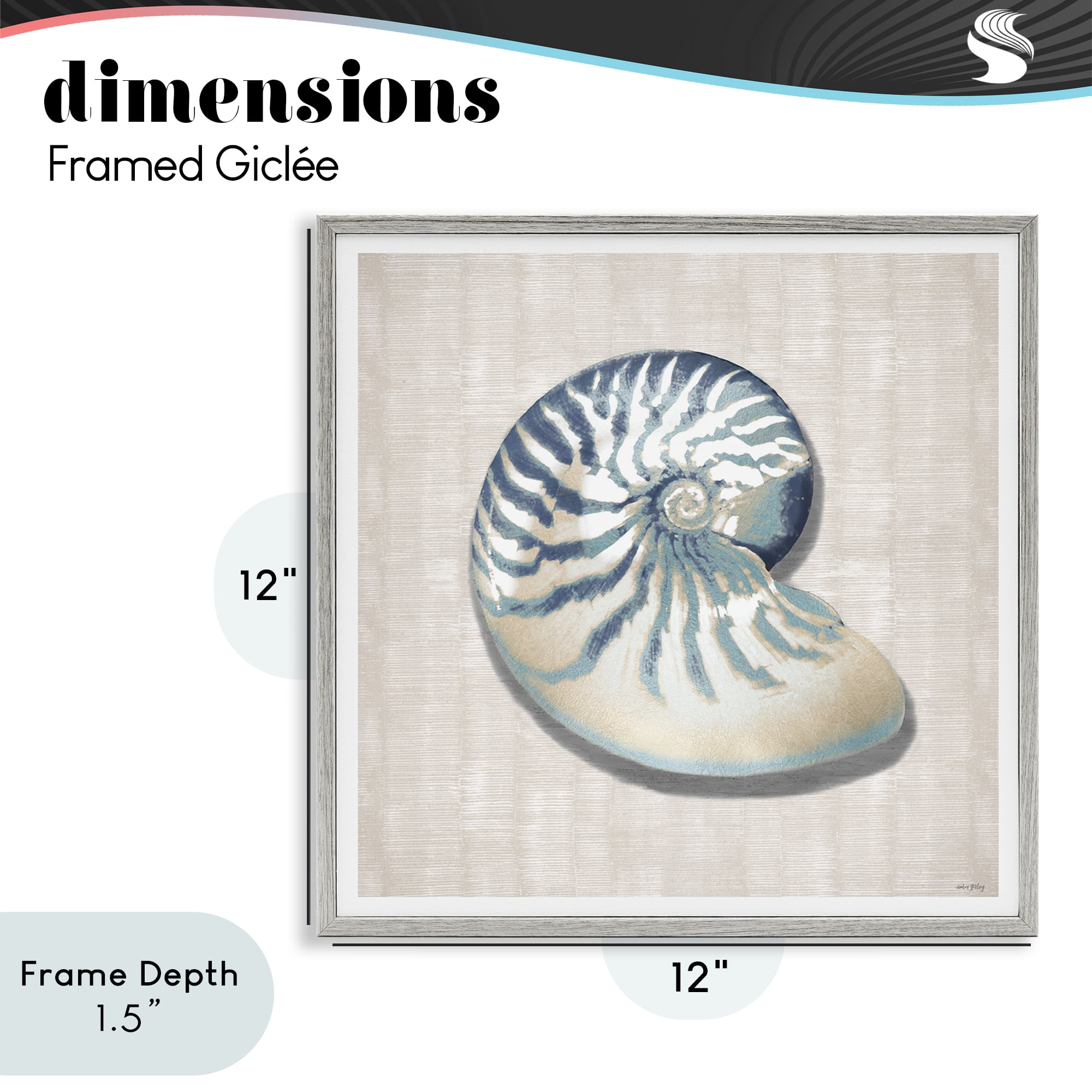 Stupell Industries Nautilus Shell in Misty Blue Gray Framed Giclee Art, design by Amber Sterling