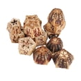 thumbnail image 3 of NFTIGB Bird Chewing Blocks Beak Grinding Boredom Relief Decorative Five Pointed Star Shape Bird Bite Nuts for Parrots, 5 Packs (10.6 inches / 27 cm), 3 of 9