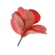 thumbnail image 4 of Plástico Artificial uculenta Cactus Echeveria Flores Decoración, Selección Zulema Planta artificial, 4 of 5
