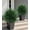 27.6'', variant on UV-Resistant Artificial Cedar Topiary Tree 27.6" Faux Cypress Outdoor Fake Pine Plant Shrubs Bushes for Home Garden Porch Entryway, Set of 2