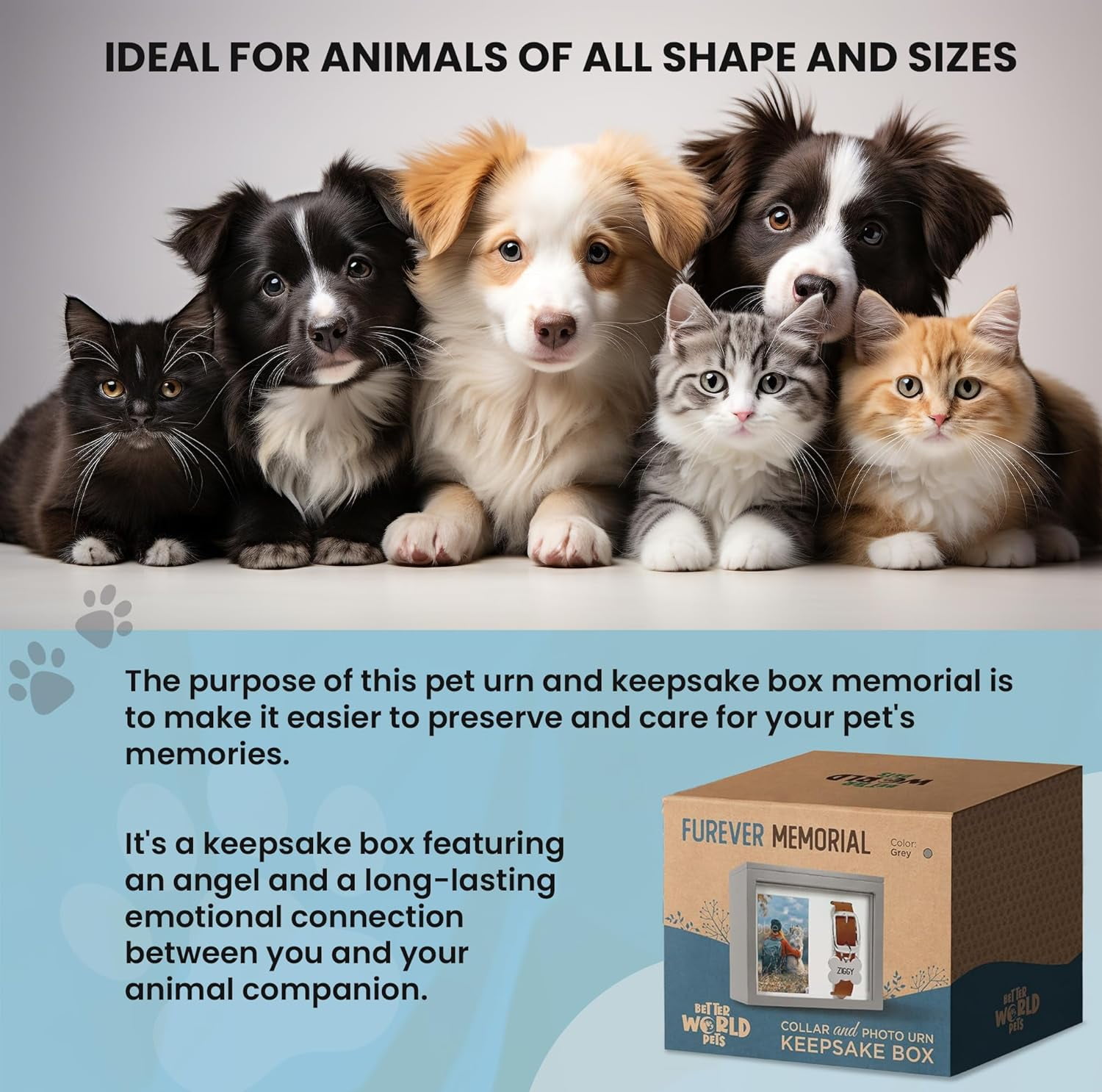 Better World Pets Urn and Keepsake Box Memorial, 4"x6" Photo Frame Holds with Collar Display, Cats and Dogs Picture Frame, Gray