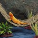 thumbnail image 4 of 2pcs lagartos hamacas reptil lagarto tumbonas reptil hamaca mascota cojines de pastos de mar, 4 of 7