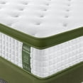 FP FLEXPEDIC Queen Mattress, 12 Inch Firm Hybrid Mattress in a Box with