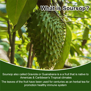 Mulittea Soursop Graviola Capsules 1000mg Leaf & Fruit Extract | 120 Capsules | High Potency