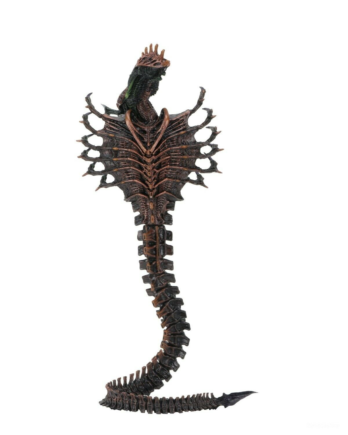 Aliens - 7