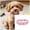 Pink, variant on ZZHZGZ Canada Sale Collar with Leash Comfortable and Cat Collar for Everyday Use and Training