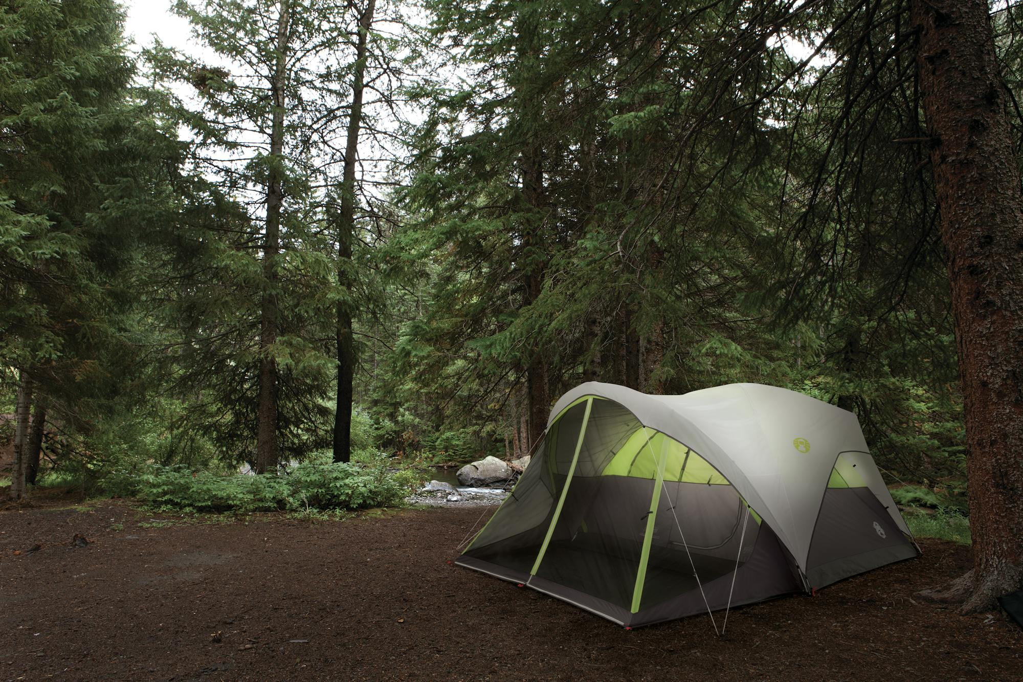 Coleman 6-Person Steel Creek™ Fast Pitch™ Dome Camping Tent with Screen Room, Green